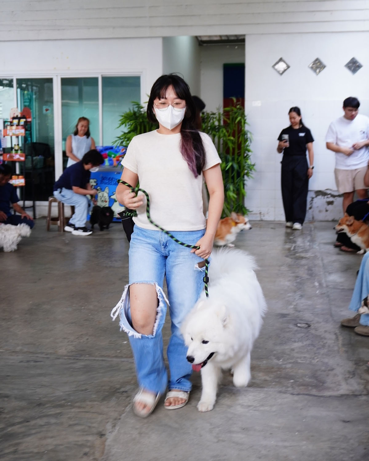 Cách Huấn Luyện Chó Đúng Cách Từ Cơ Bản Đến Chuyên Nghiệp
